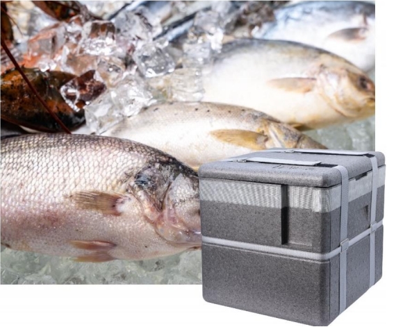 surpertech-epp-vip-insulation-box-a-new-choice-for-cost-effective-cold-chain-transportation1.jpg