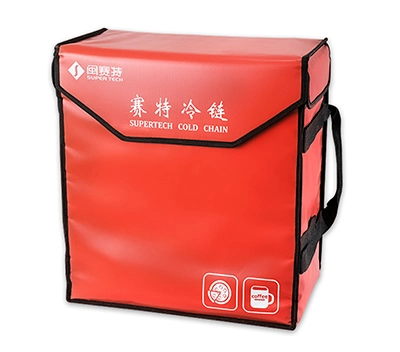 Vacuum insulated bag